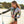 Yasmina - Lange Mouwen Surf Badpak Voor Dames - Sportief & Beschermend