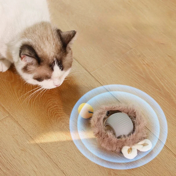 Interactieve Jagerbal voor Katten - PouncePal