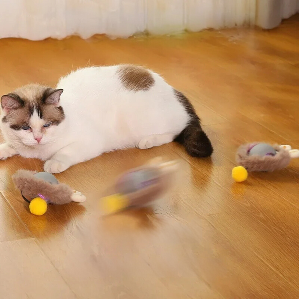 Interactieve Jagerbal voor Katten - PouncePal