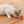 Interactieve Jagerbal voor Katten - PouncePal