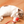 Interactieve Jagerbal voor Katten - PouncePal